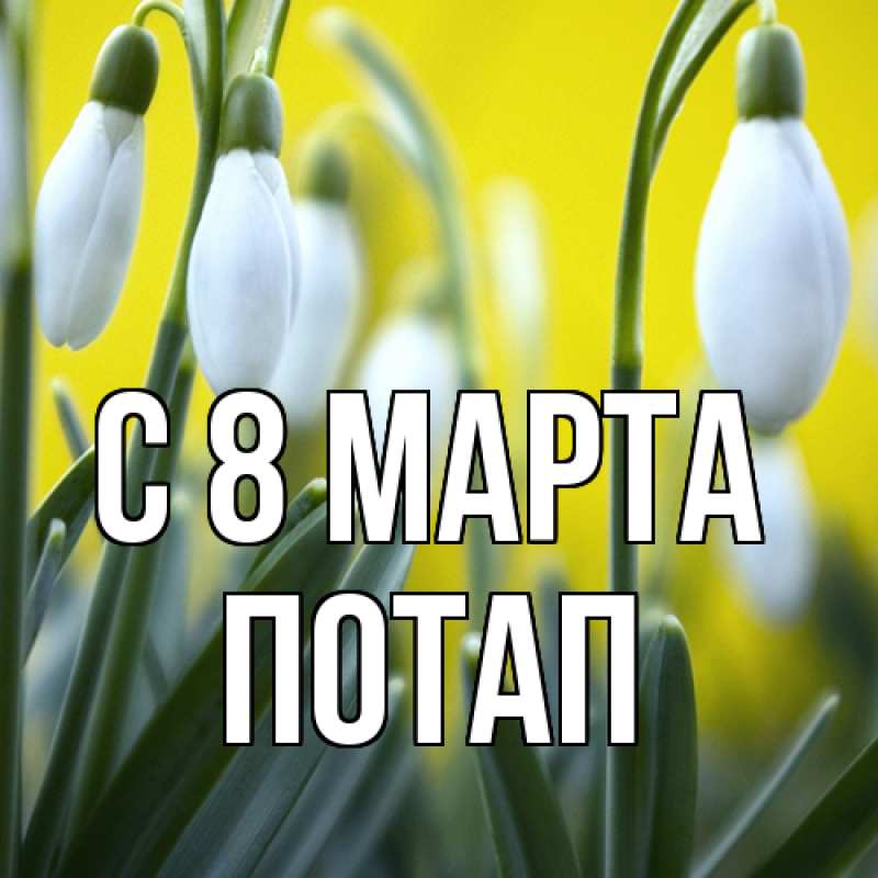 Картинка C 8 МАРТА, Потап