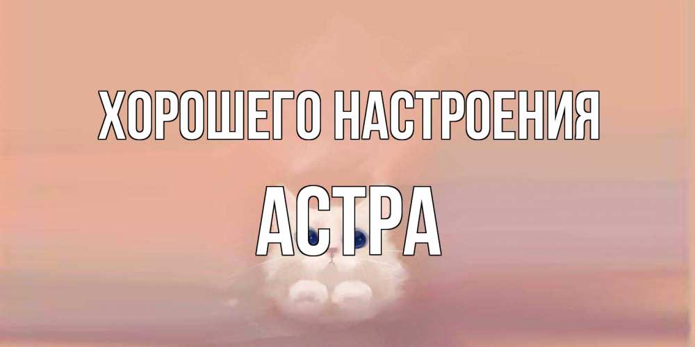 Открытка на каждый день с именем, Астра Хорошего настроения кошка Прикольная открытка с пожеланием онлайн скачать бесплатно 
