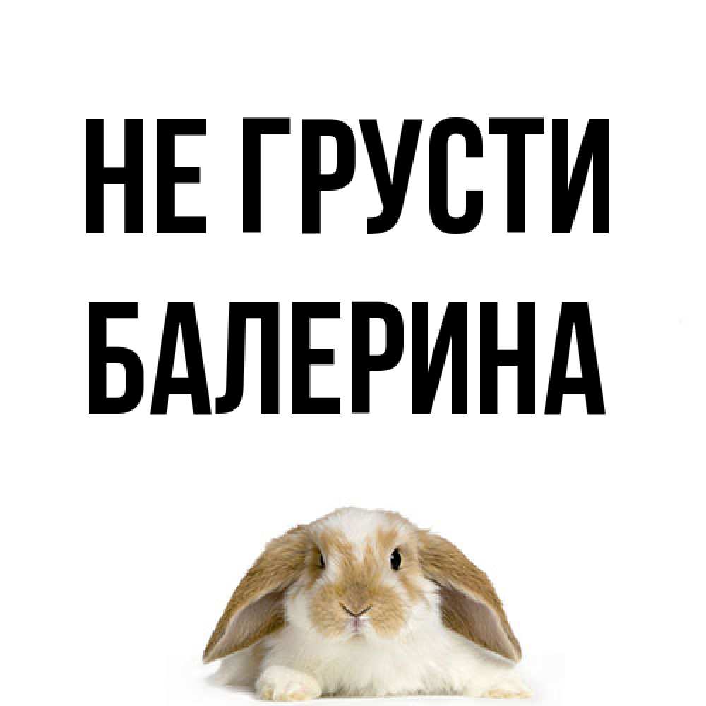 Открытка на каждый день с именем, Балерина Не грусти коричнево белый заяц с большими ушками Прикольная открытка с пожеланием онлайн скачать бесплатно 