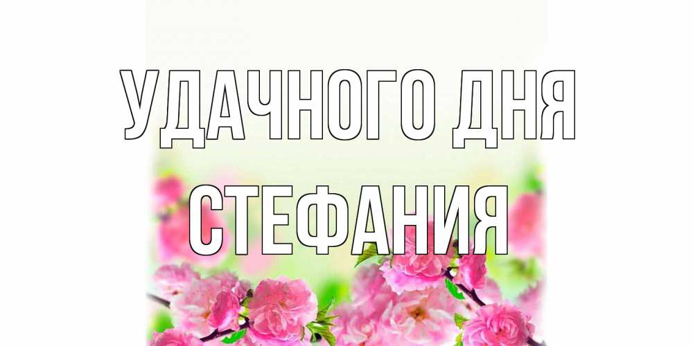 Открытка на каждый день с именем, Стефания Удачного дня цветы Прикольная открытка с пожеланием онлайн скачать бесплатно 