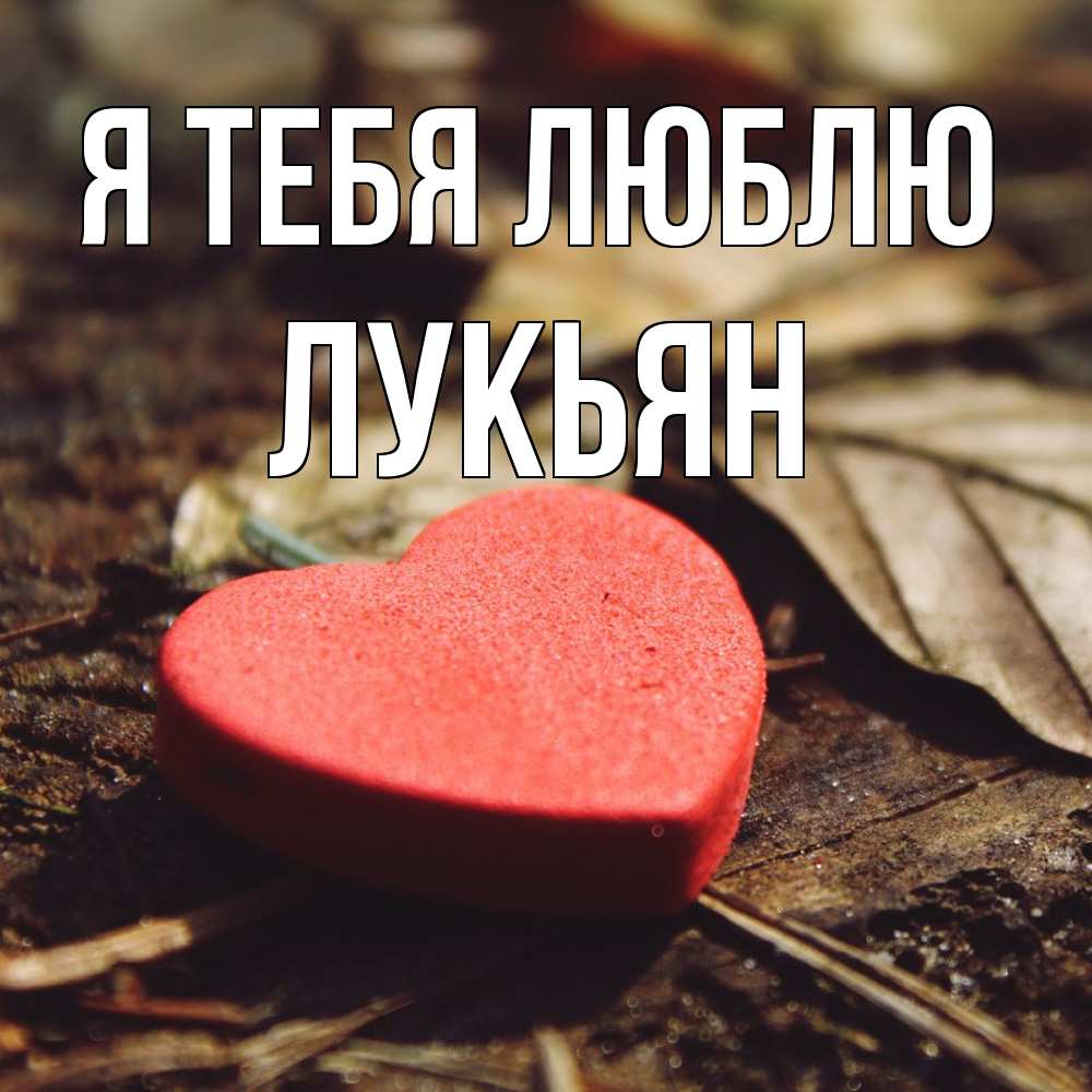 Открытка на каждый день с именем, Лукьян Я тебя люблю листья деревье 4 Прикольная открытка с пожеланием онлайн скачать бесплатно 