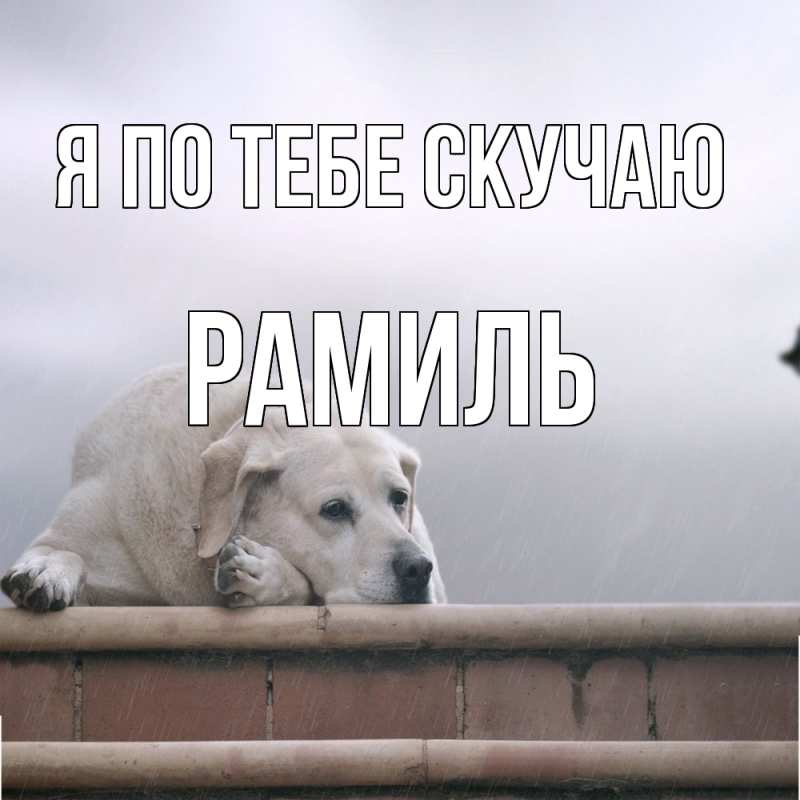 Картинка Я по тебе скучаю, Рамиль
