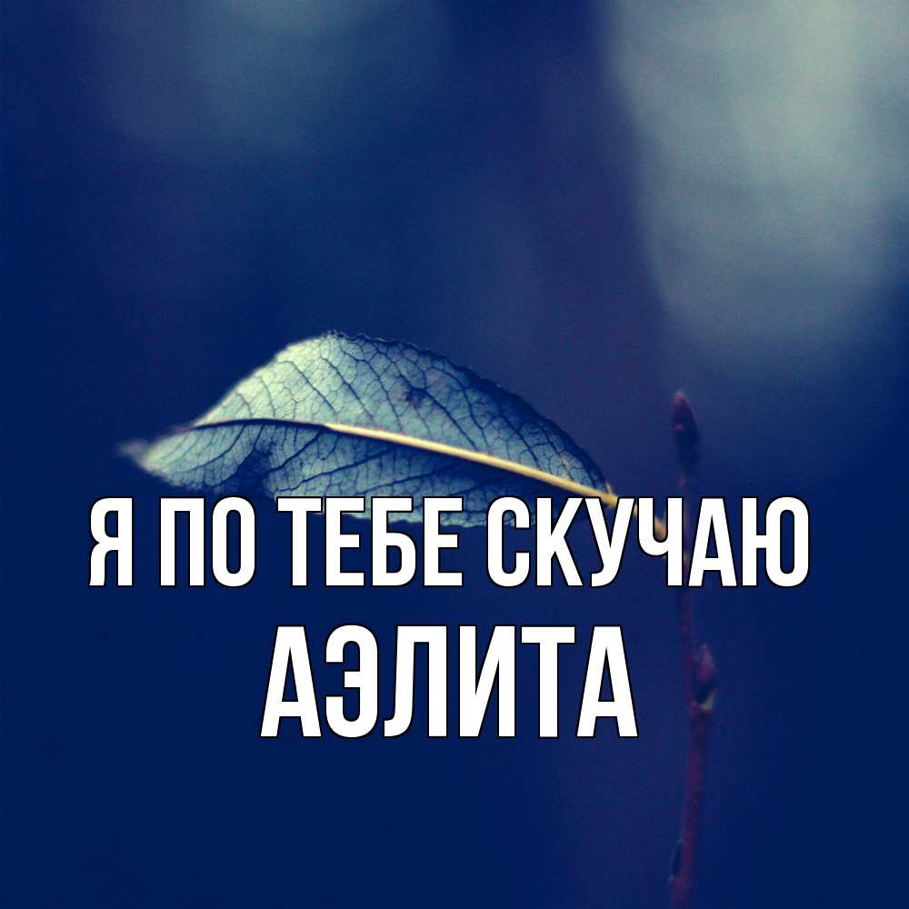 Открытка на каждый день с именем, Аэлита Я по тебе скучаю одна ветка 1 Прикольная открытка с пожеланием онлайн скачать бесплатно 