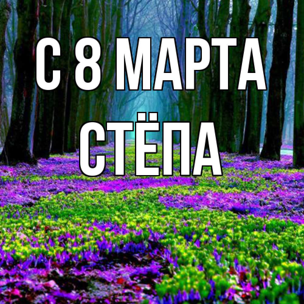 Открытка на каждый день с именем, Стёпа C 8 МАРТА фиолетовые цветы в лесу 1 Прикольная открытка с пожеланием онлайн скачать бесплатно 