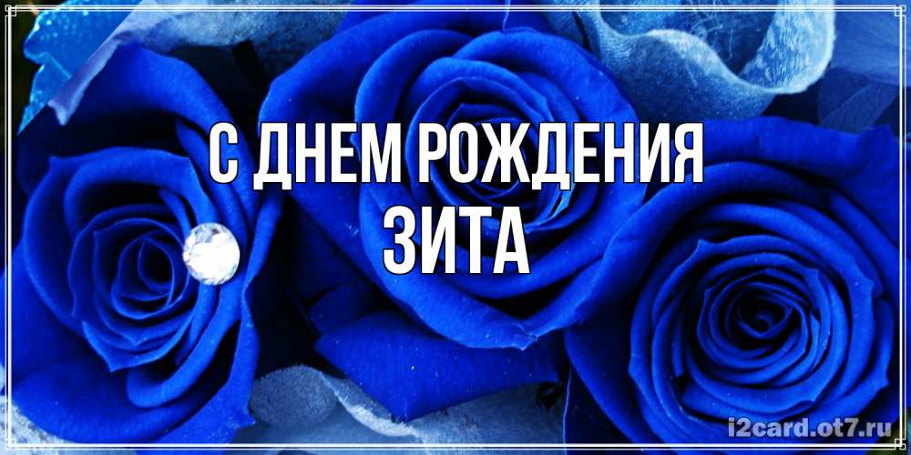 Открытка на каждый день с именем, Зита С днем рождения синие розы в росе Прикольная открытка с пожеланием онлайн скачать бесплатно 