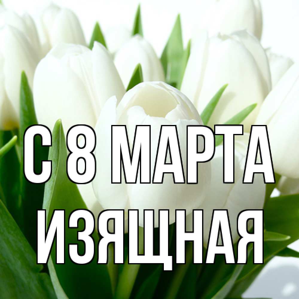 Открытка на каждый день с именем, Изящная C 8 МАРТА цветы Прикольная открытка с пожеланием онлайн скачать бесплатно 