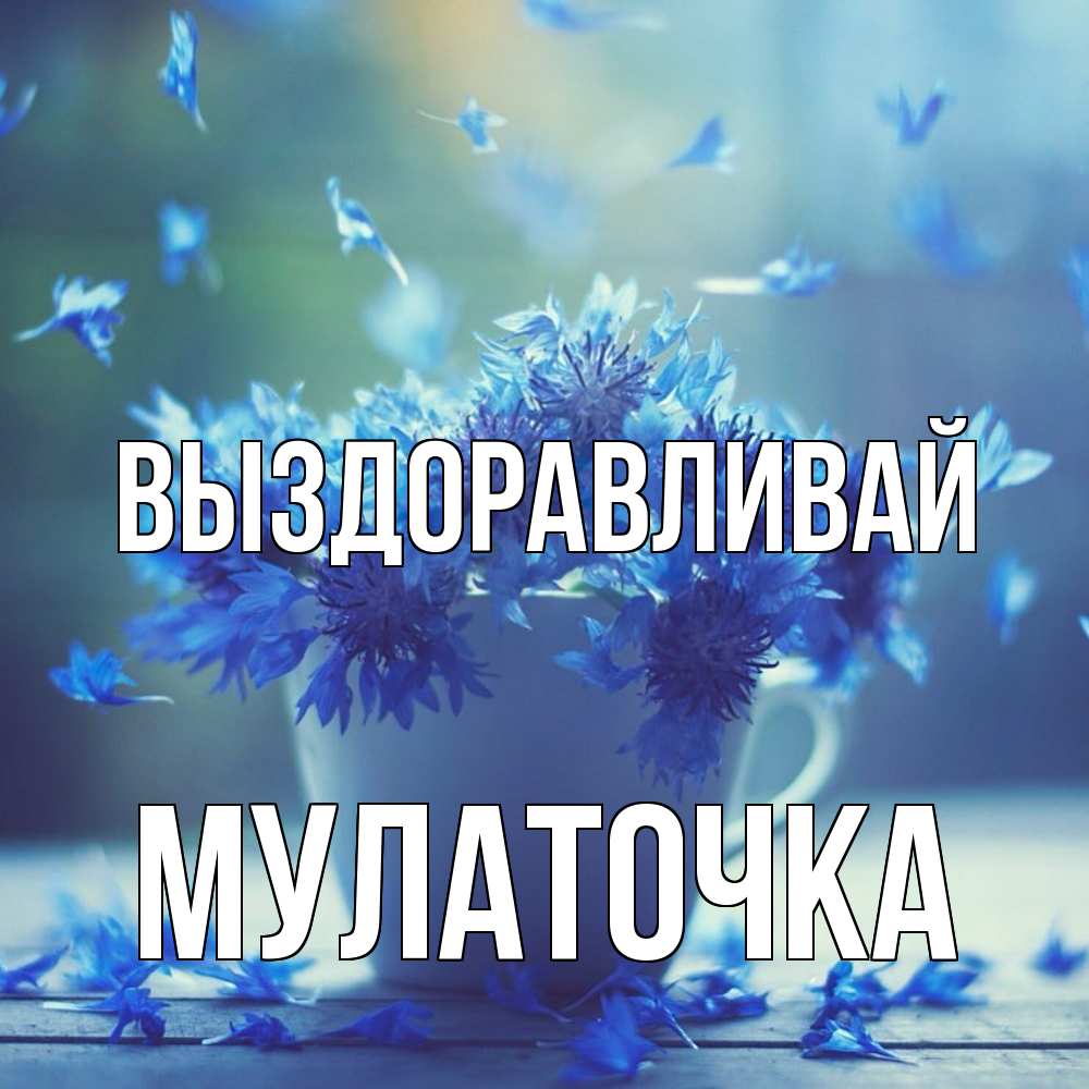 Открытка на каждый день с именем, Мулаточка Выздоравливай кружка с зельем и цветами Прикольная открытка с пожеланием онлайн скачать бесплатно 