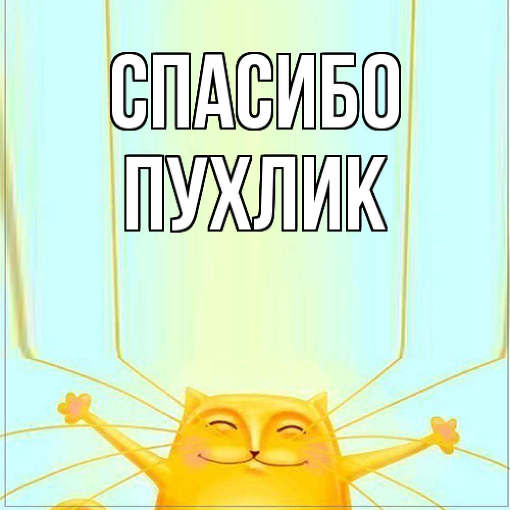 Открытка на каждый день с именем, пухлик Спасибо кот с усами благодарит Прикольная открытка с пожеланием онлайн скачать бесплатно 