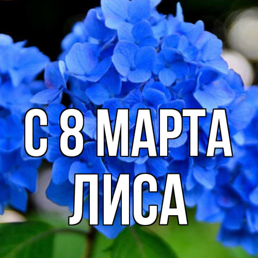 Открытка на каждый день с именем, лиса C 8 МАРТА синие цветы Прикольная открытка с пожеланием онлайн скачать бесплатно 