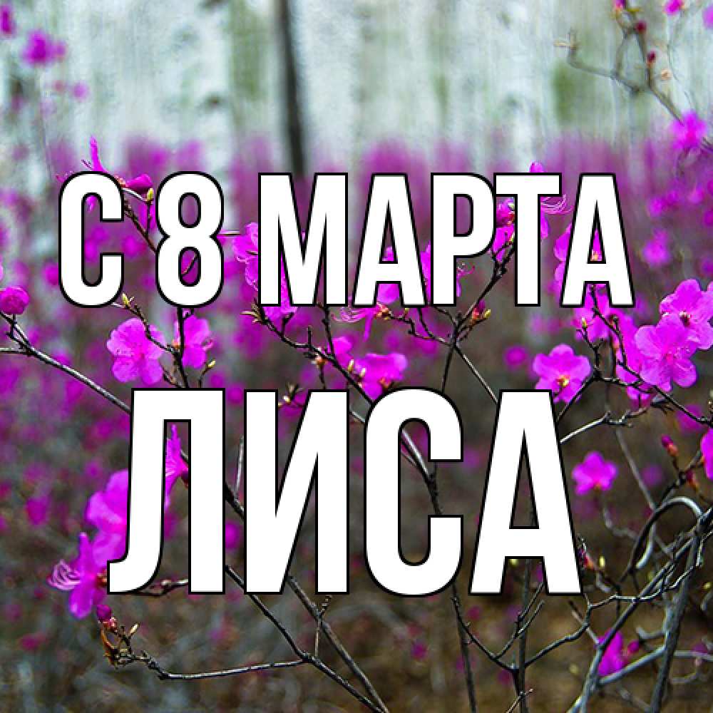 Открытка на каждый день с именем, лиса C 8 МАРТА дикие цветы Прикольная открытка с пожеланием онлайн скачать бесплатно 