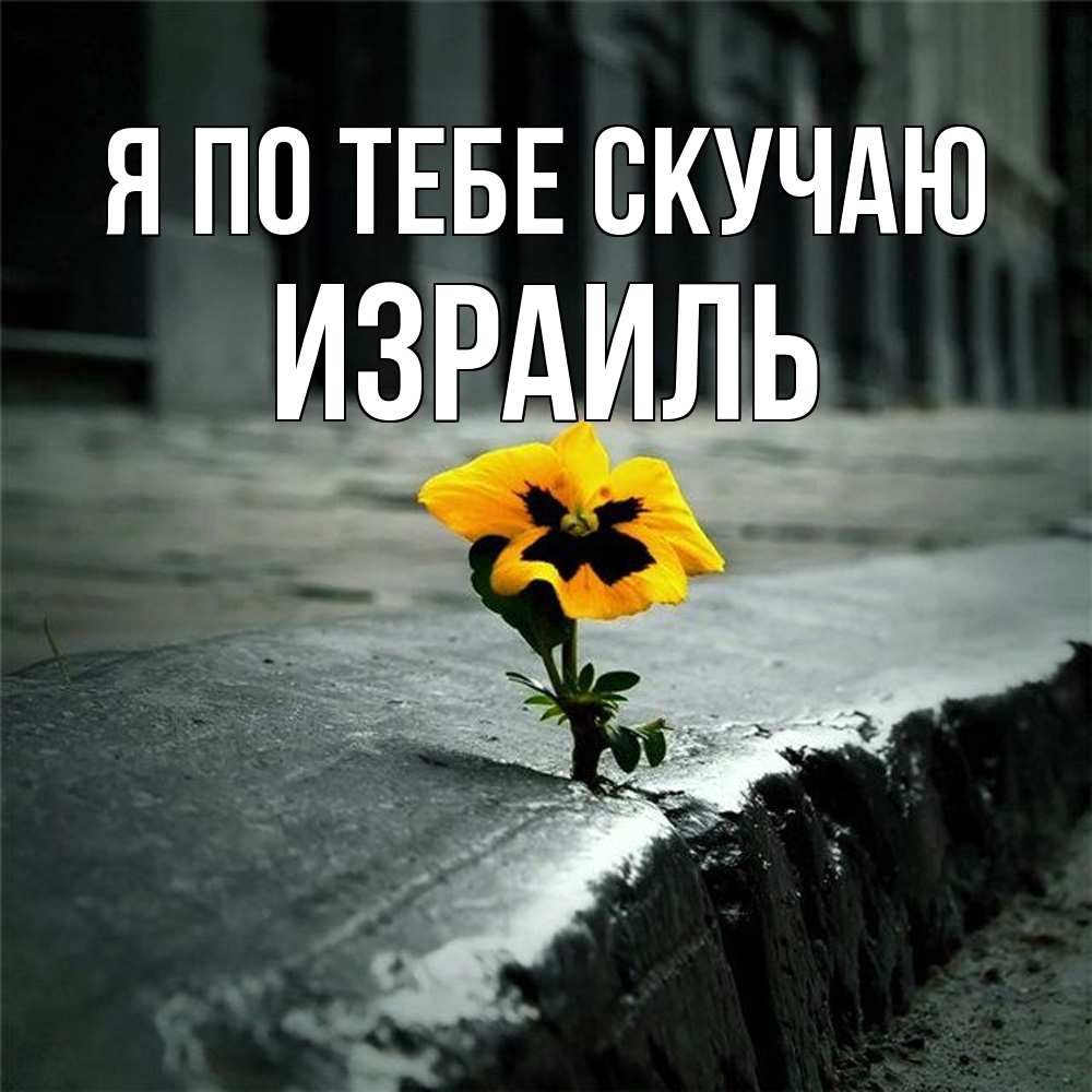 Открытка на каждый день с именем, Израиль Я по тебе скучаю надеюсь будет лучше Прикольная открытка с пожеланием онлайн скачать бесплатно 