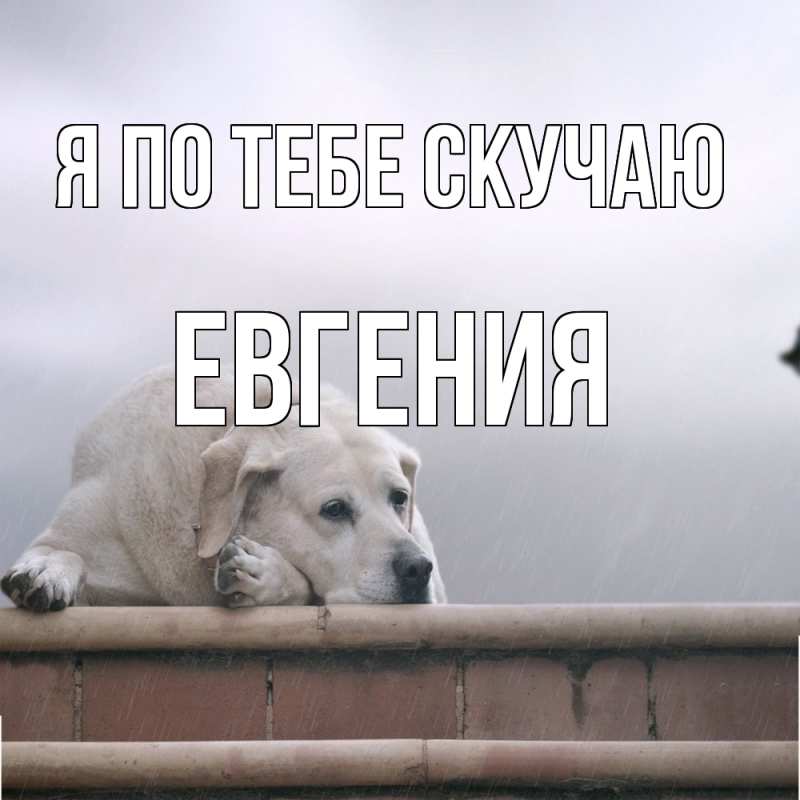 Картинка Я по тебе скучаю, Евгения