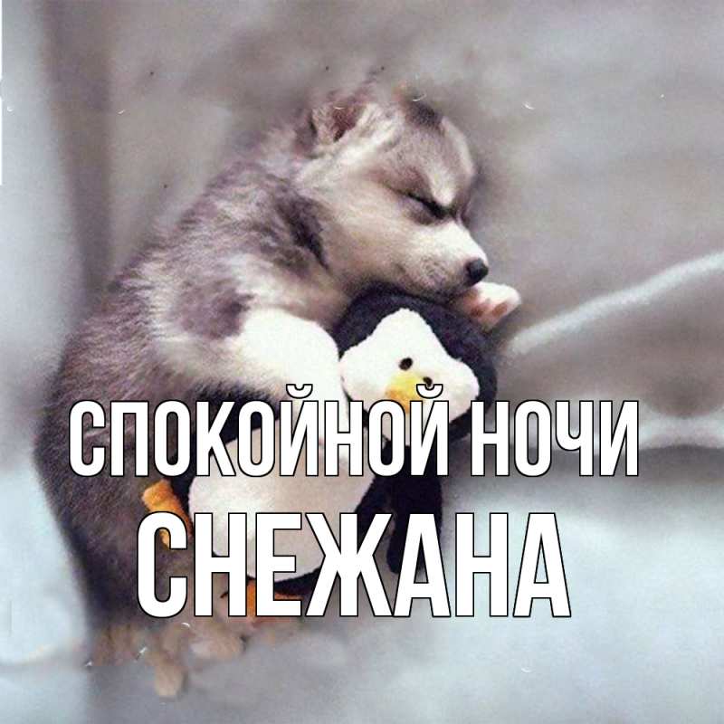 Картинка Спокойной ночи, Снежана
