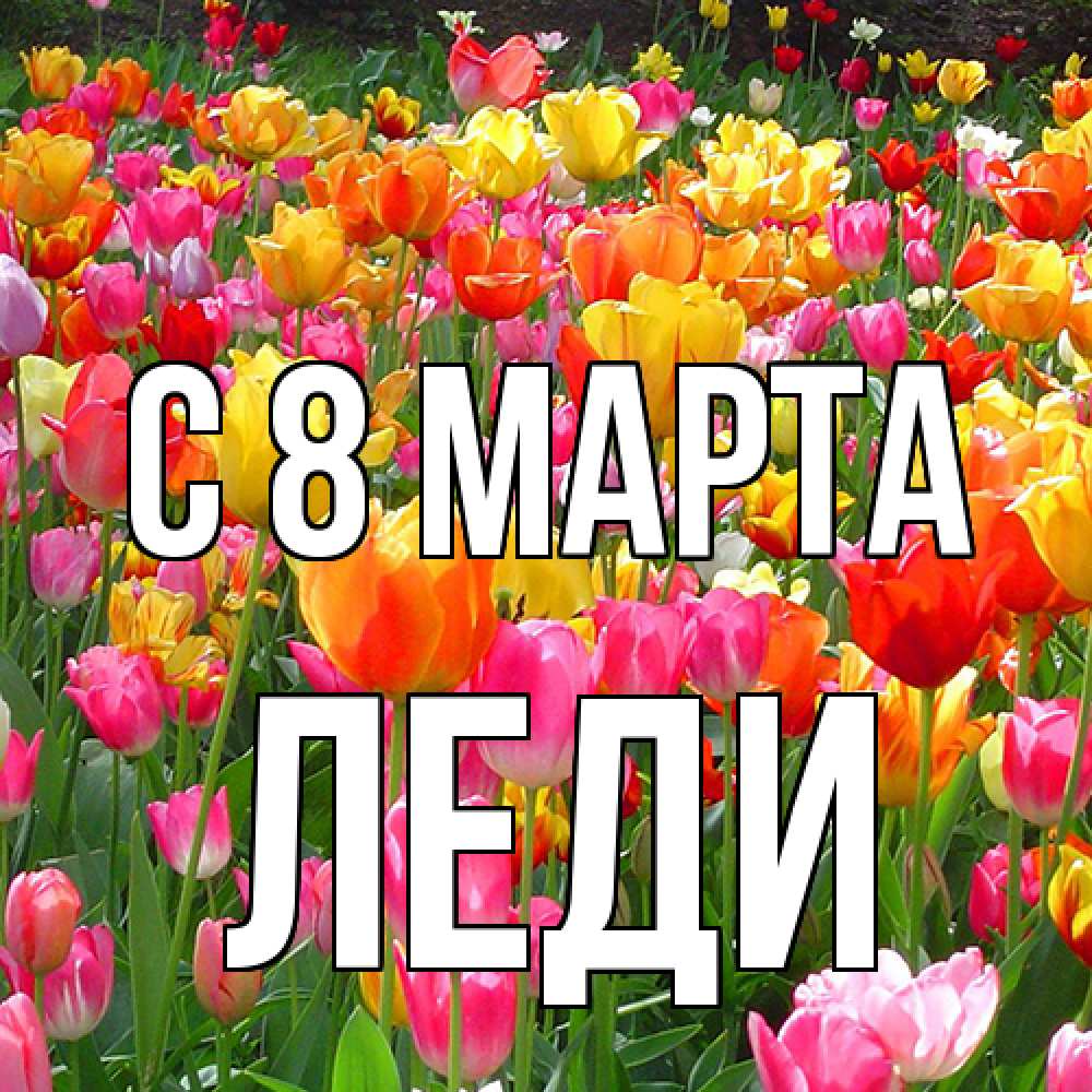 Открытка на каждый день с именем, леди C 8 МАРТА на международный женский день Прикольная открытка с пожеланием онлайн скачать бесплатно 