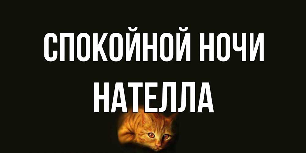 Открытка на каждый день с именем, Нателла Спокойной ночи кот Прикольная открытка с пожеланием онлайн скачать бесплатно 