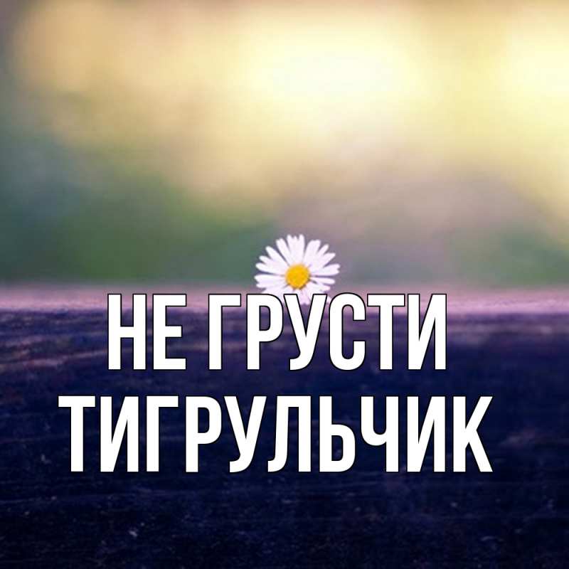 Картинка Не грусти, Тигpульчик