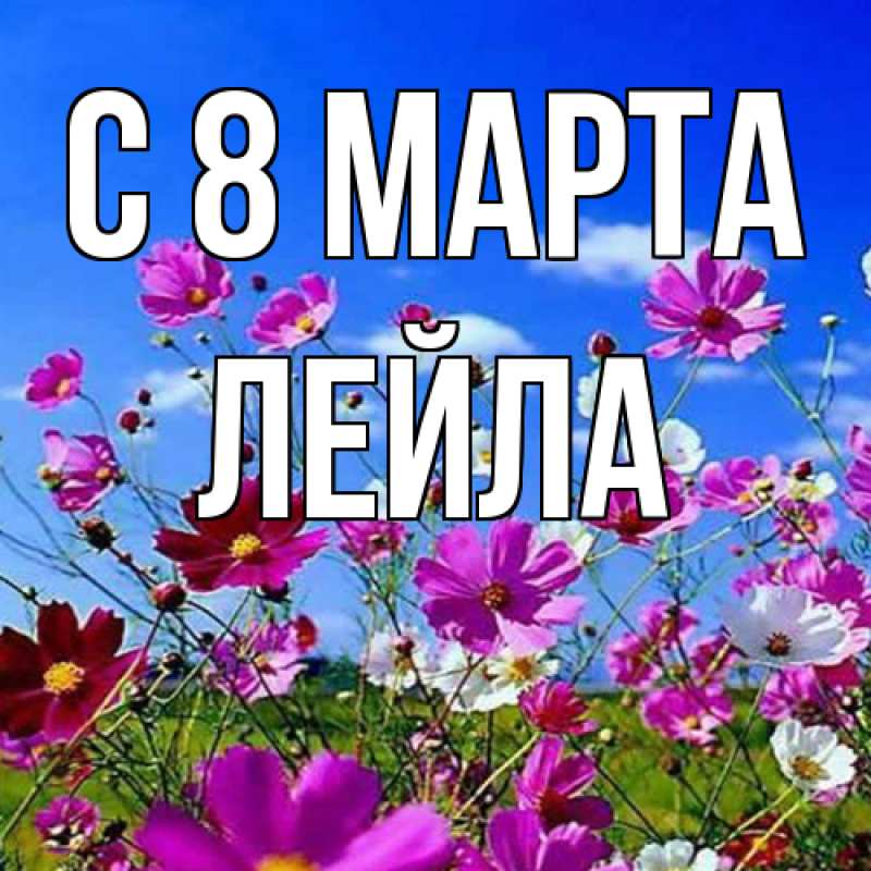 Картинка C 8 МАРТА, Лейла