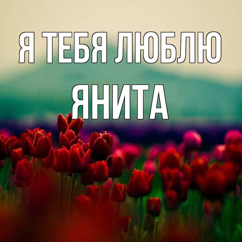 Картинка Я тебя люблю, Янита