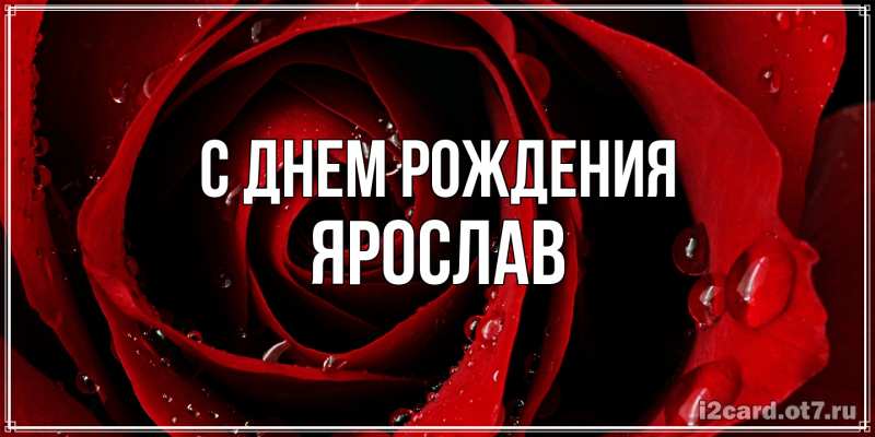 Картинка С днем рождения, Ярослав