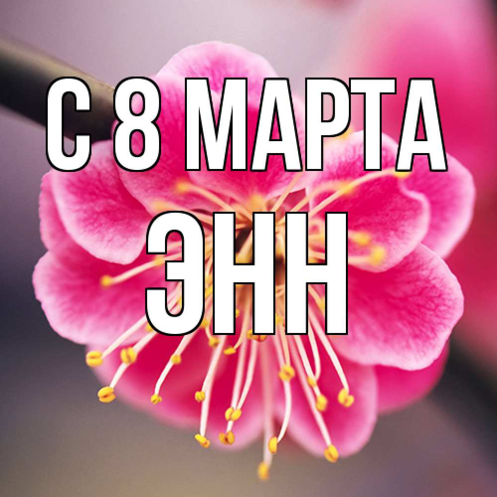 Открытка на каждый день с именем, Энн C 8 МАРТА цветы Прикольная открытка с пожеланием онлайн скачать бесплатно 