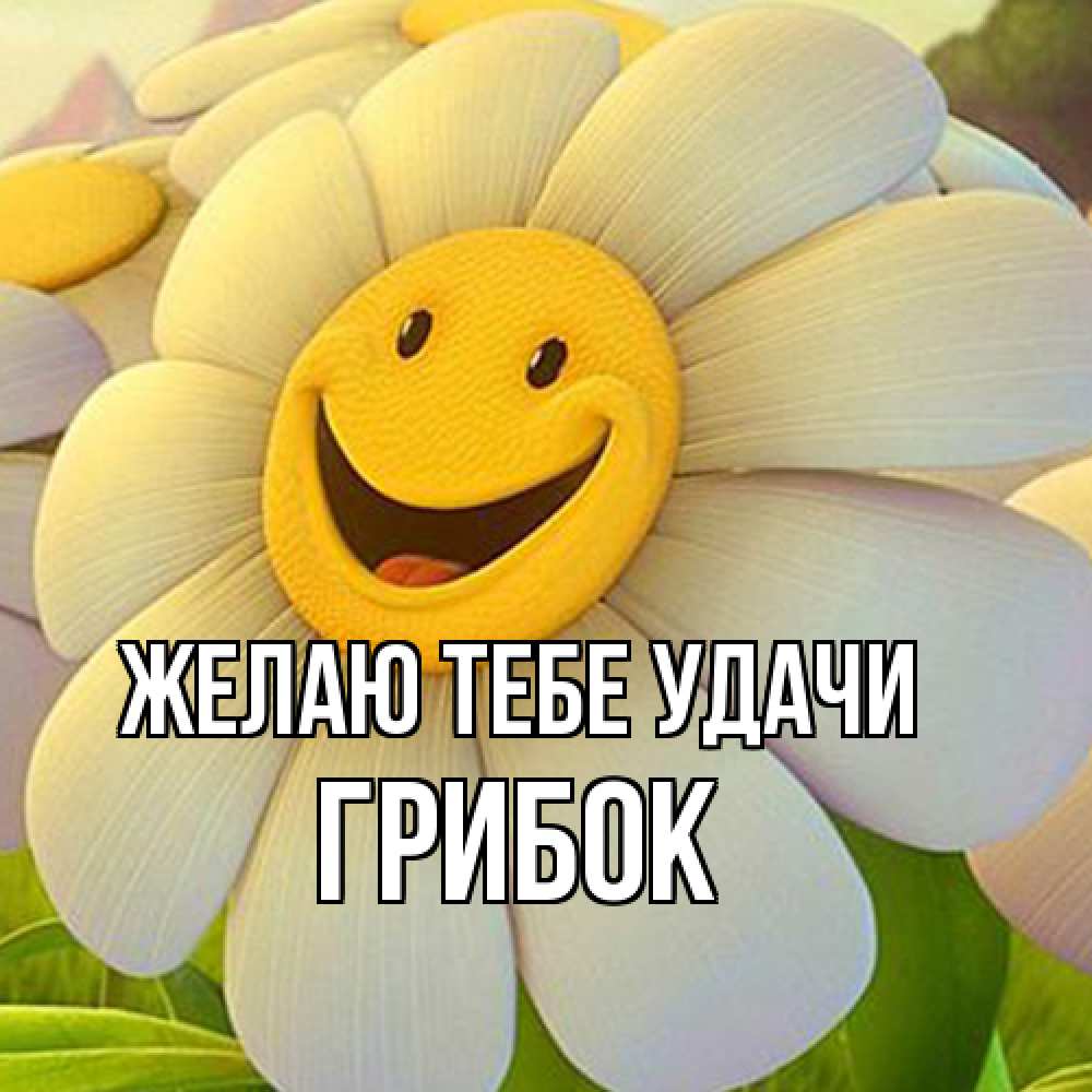 Открытка на каждый день с именем, Грибок Желаю тебе удачи подписать открытку своим текстом Прикольная открытка с пожеланием онлайн скачать бесплатно 