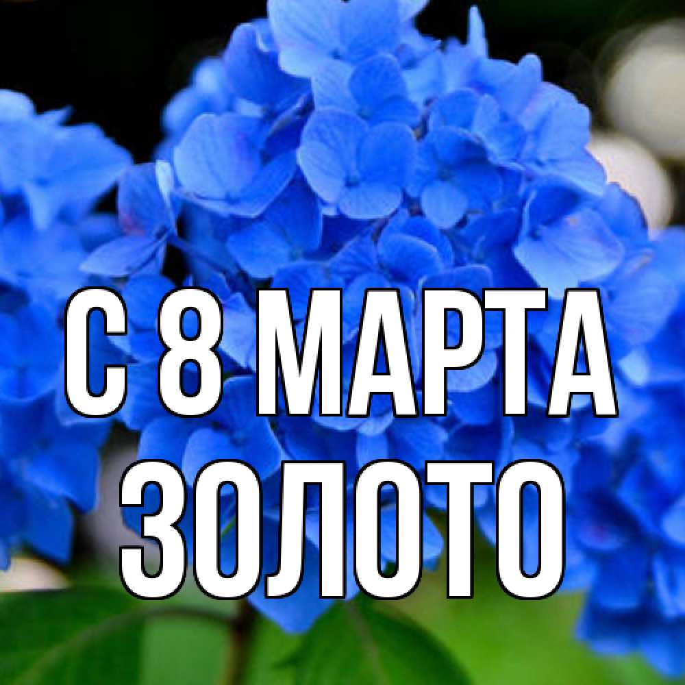 Открытка на каждый день с именем, Золото C 8 МАРТА синие цветы Прикольная открытка с пожеланием онлайн скачать бесплатно 