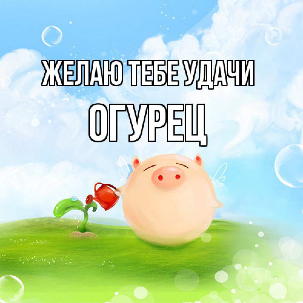 Открытка на каждый день с именем, Огурец Желаю тебе удачи поросенок поливает цветок. летнее настроение Прикольная открытка с пожеланием онлайн скачать бесплатно 