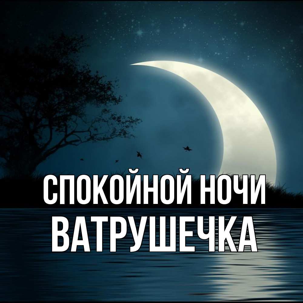 Открытка на каждый день с именем, ватрушечка Спокойной ночи вода Прикольная открытка с пожеланием онлайн скачать бесплатно 