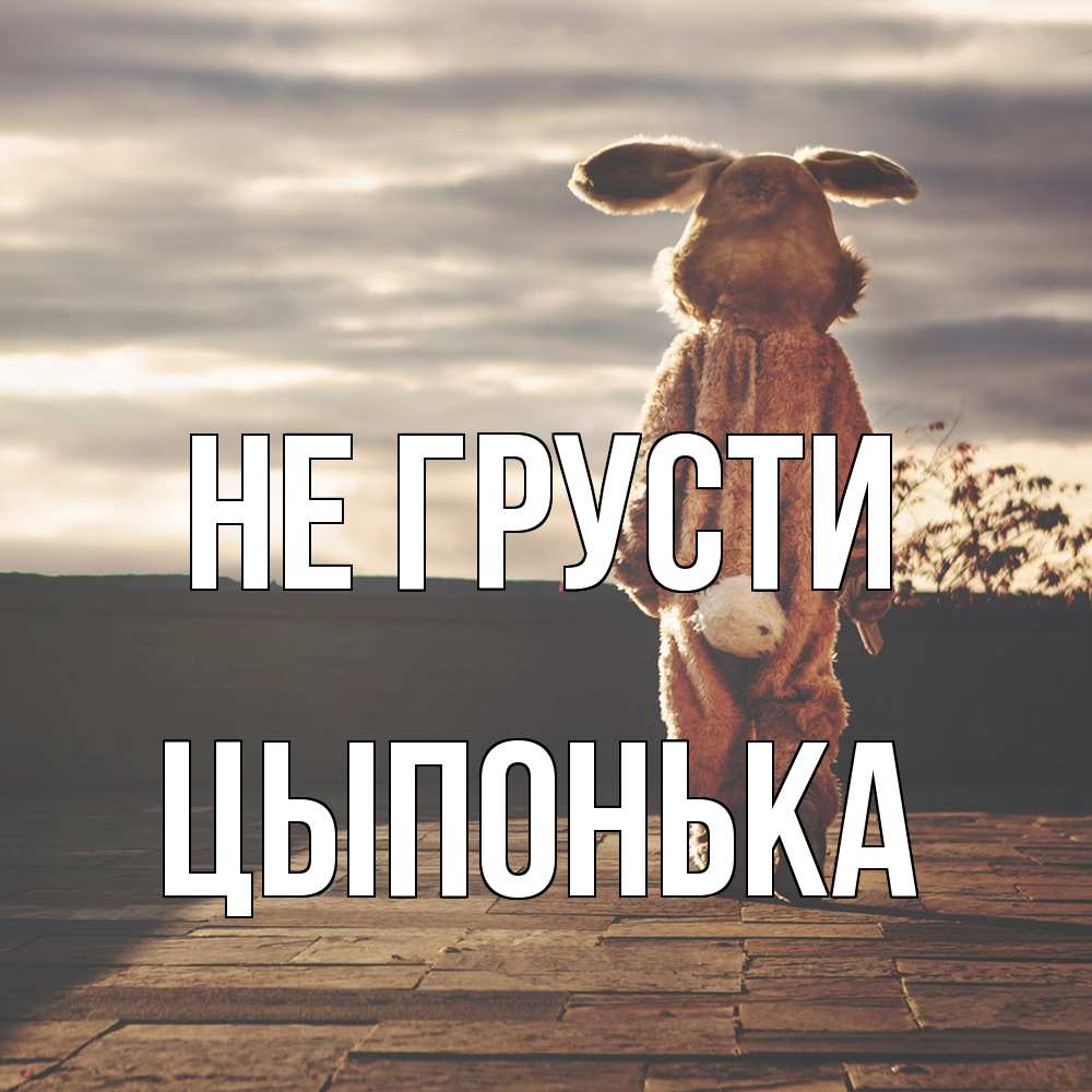 Открытка на каждый день с именем, Цыпонька Не грусти со спины Прикольная открытка с пожеланием онлайн скачать бесплатно 