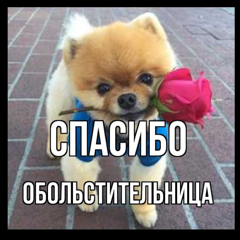 Открытка с именем, обольстительница, Спасибо