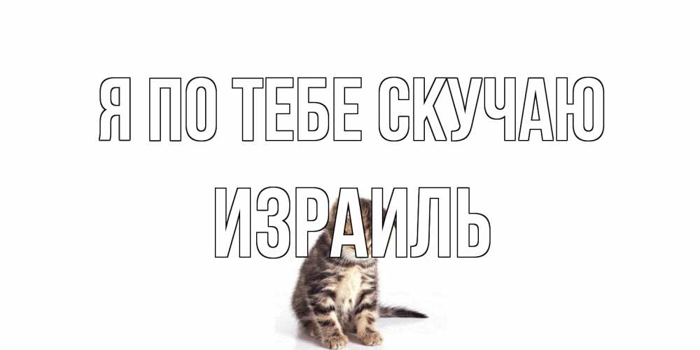 Открытка на каждый день с именем, Израиль Я по тебе скучаю кот Прикольная открытка с пожеланием онлайн скачать бесплатно 