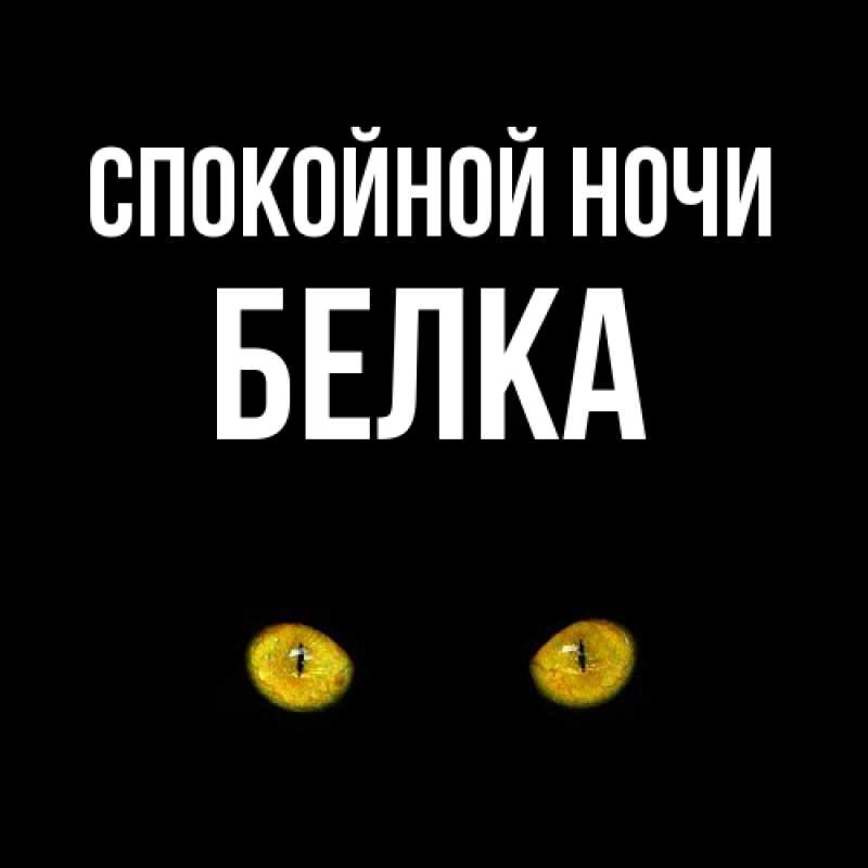 Картинка Спокойной ночи, Белка