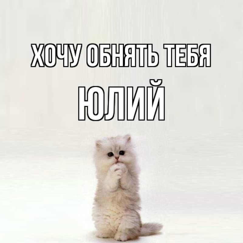 Картинка Хочу обнять тебя, Юлий