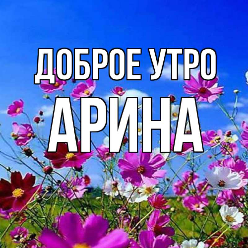 Картинка Доброе утро, арина