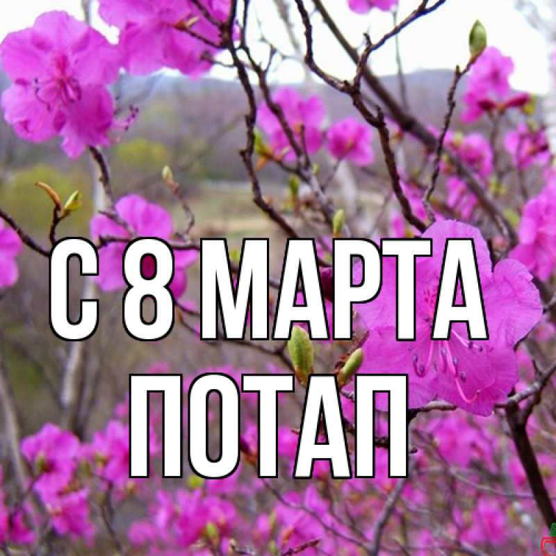 Картинка C 8 МАРТА, Потап