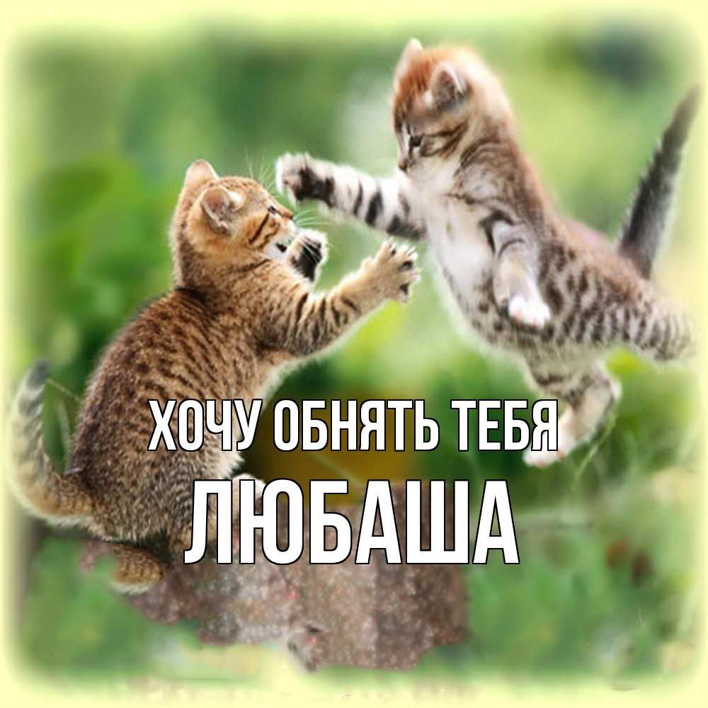 Открытка на каждый день с именем, Любаша Хочу обнять тебя игры котят Прикольная открытка с пожеланием онлайн скачать бесплатно 