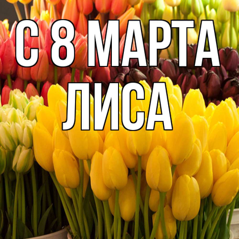 Открытка на каждый день с именем, лиса C 8 МАРТА цветы Прикольная открытка с пожеланием онлайн скачать бесплатно 