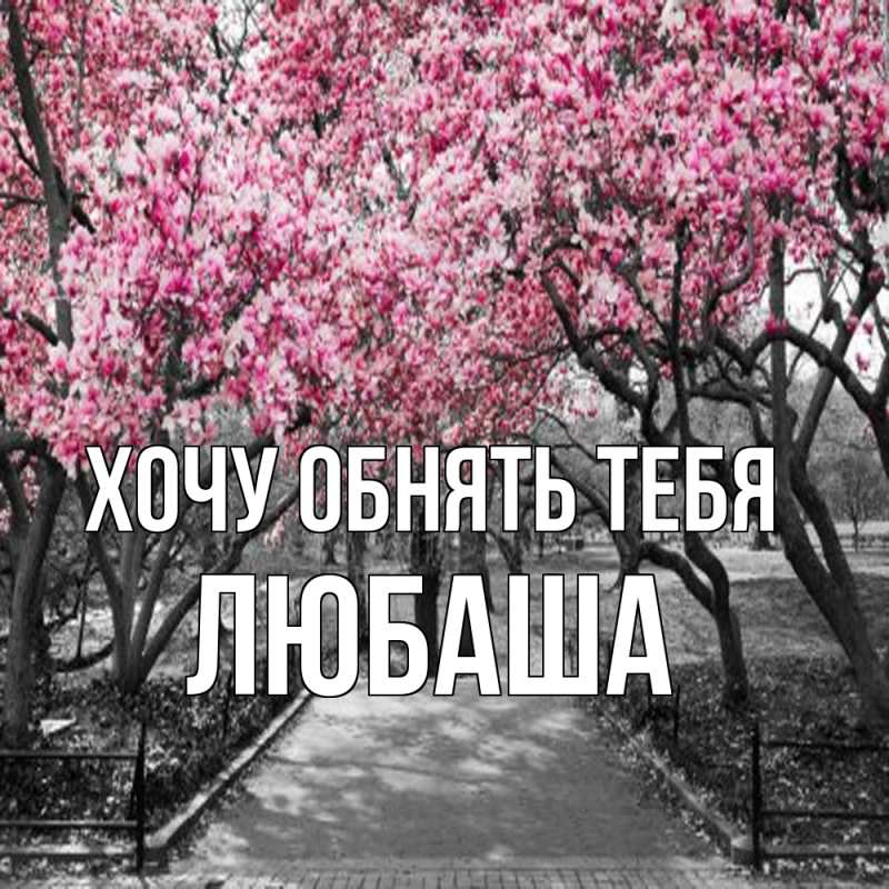Картинка Хочу обнять тебя, Любаша