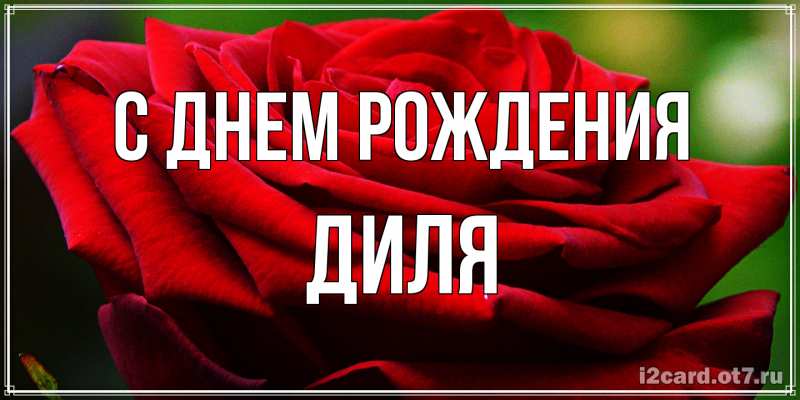 Картинка С днем рождения, Диля