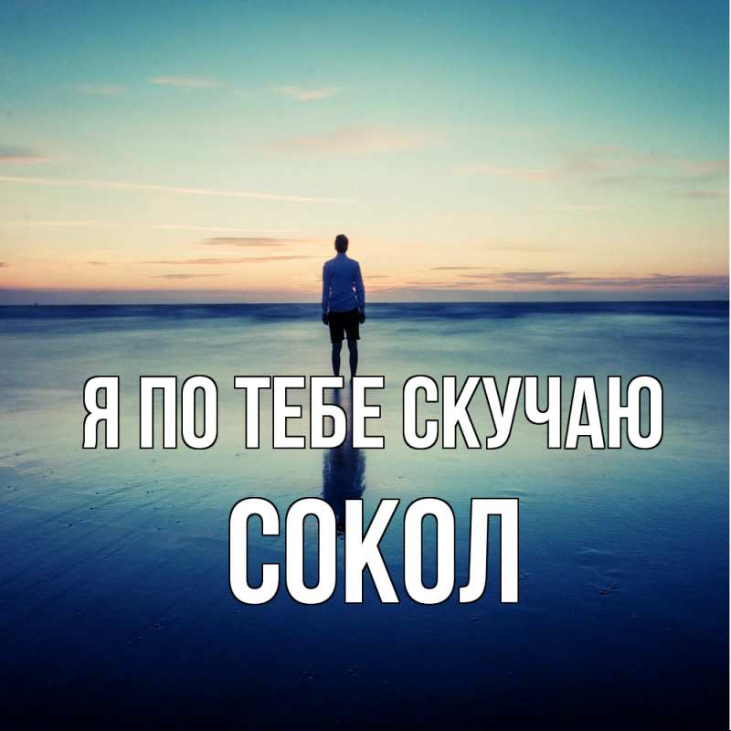 Картинка Я по тебе скучаю, Сокол