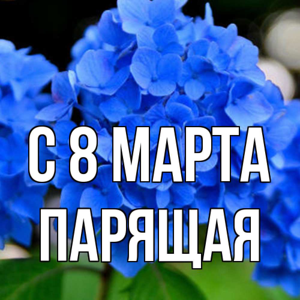 Открытка на каждый день с именем, Парящая C 8 МАРТА синие цветы Прикольная открытка с пожеланием онлайн скачать бесплатно 