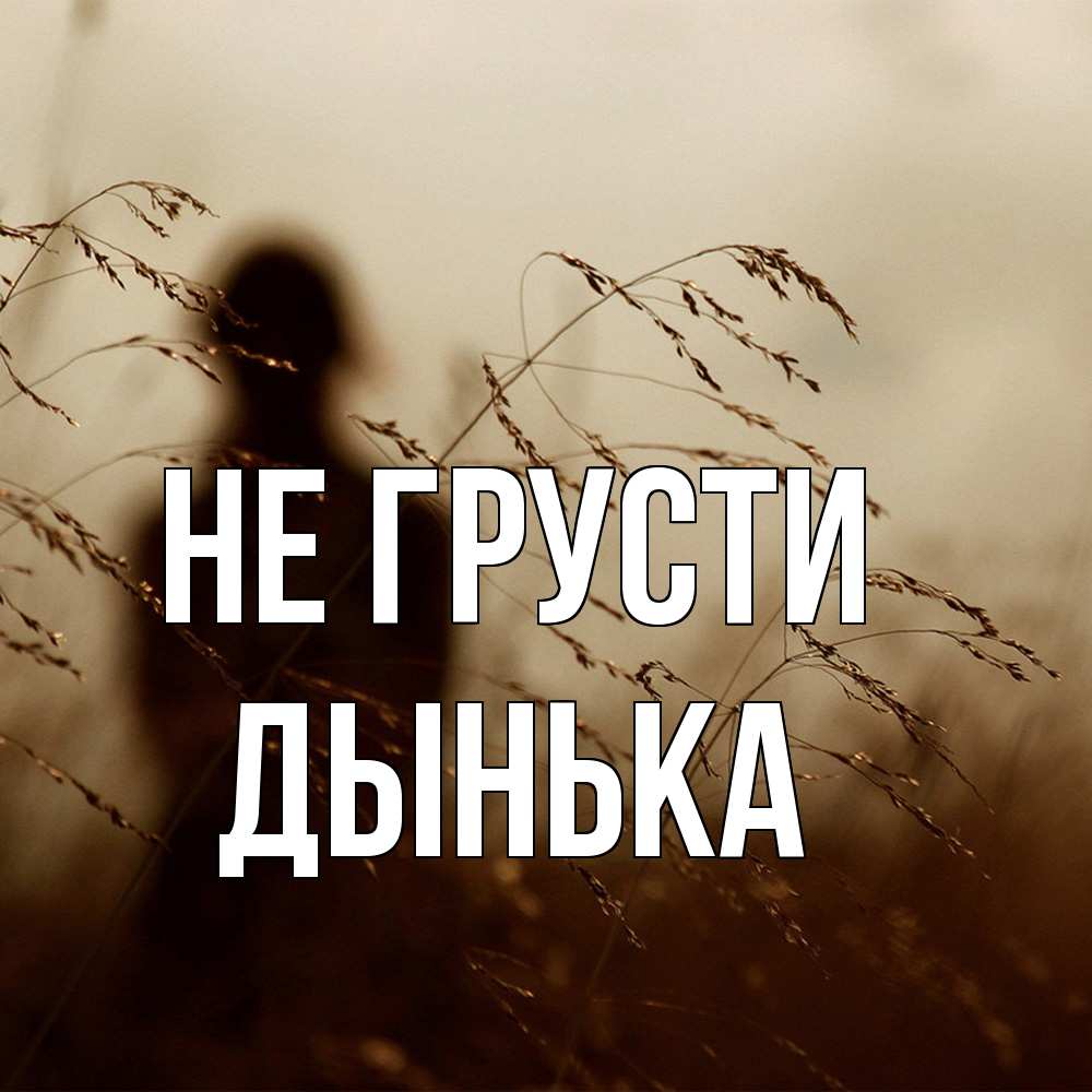 Открытка на каждый день с именем, Дынька Не грусти грусть Прикольная открытка с пожеланием онлайн скачать бесплатно 