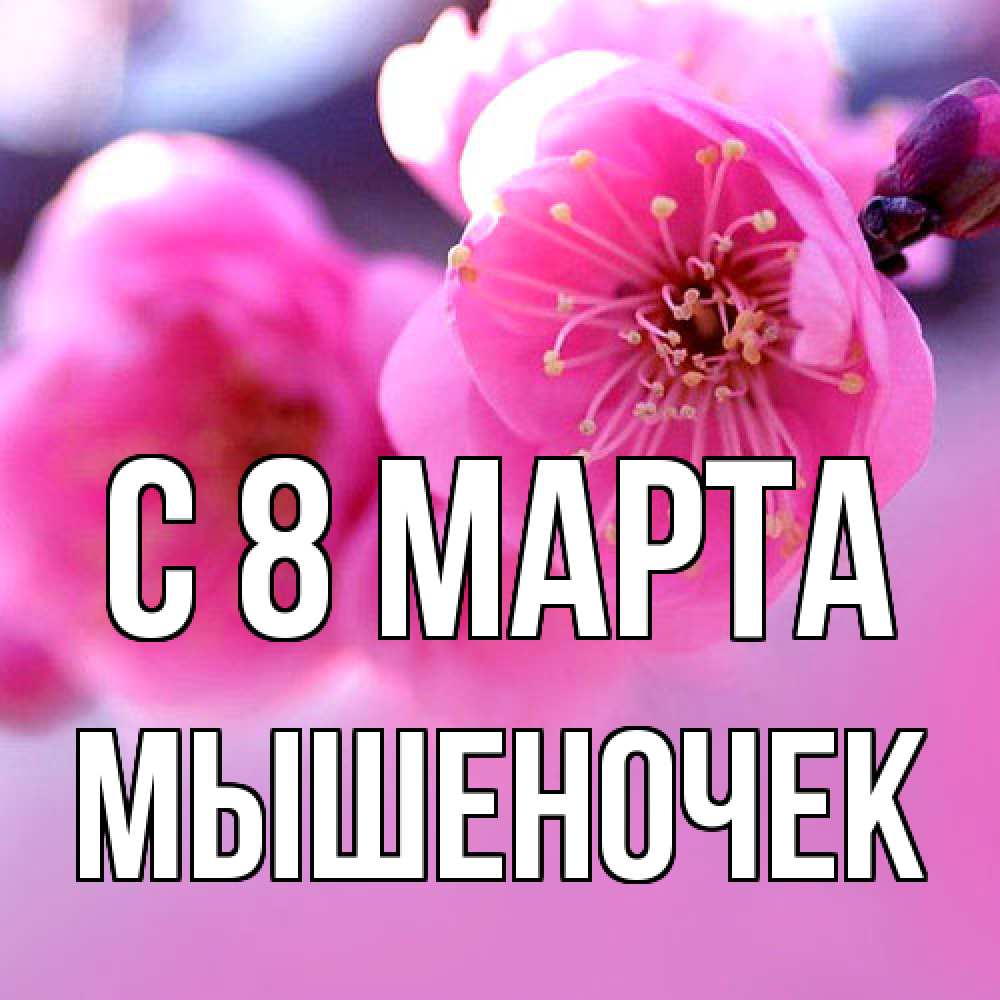 Открытка на каждый день с именем, Мышеночек C 8 МАРТА международный женский день Прикольная открытка с пожеланием онлайн скачать бесплатно 
