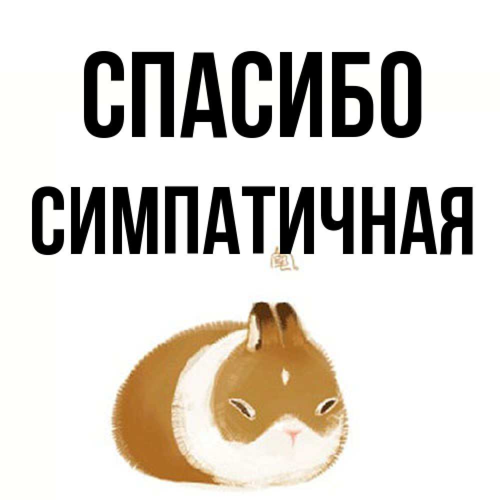 Открытка на каждый день с именем, симпатичная Спасибо коричнево белый домашний питомец Прикольная открытка с пожеланием онлайн скачать бесплатно 