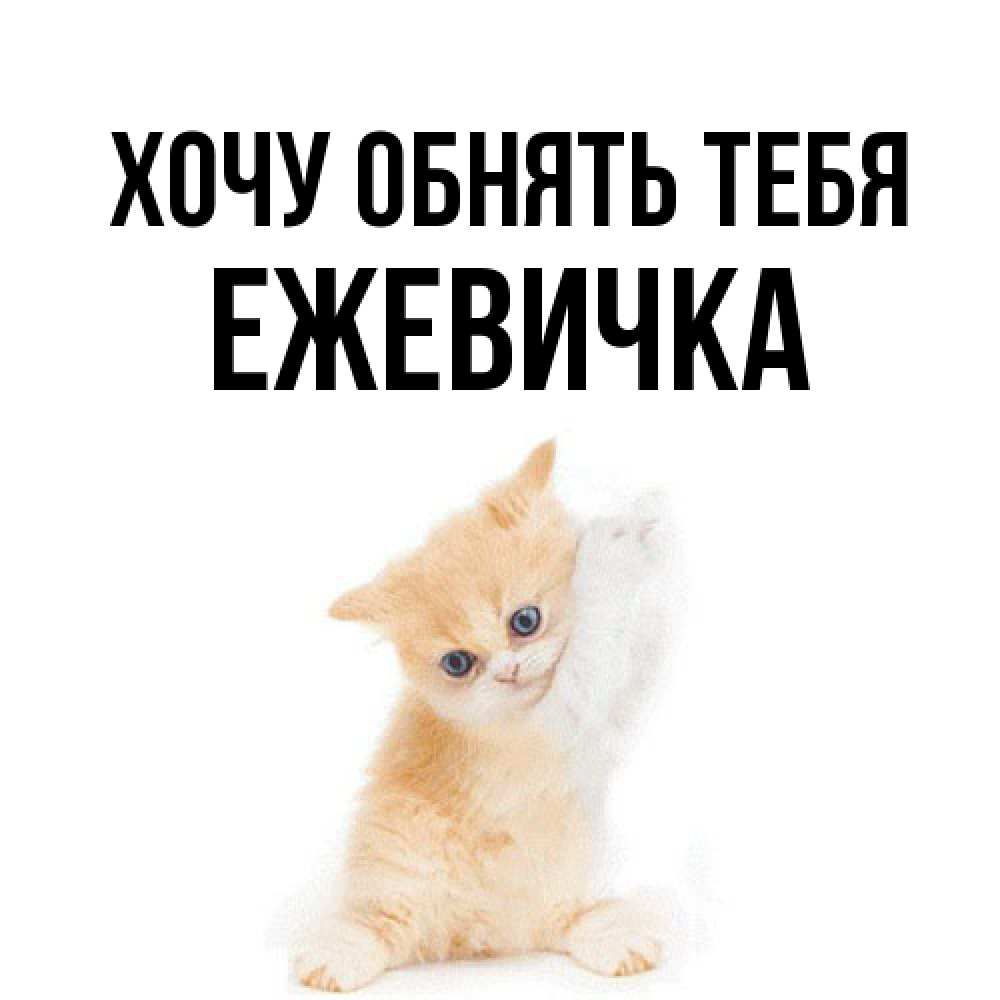 Открытка на каждый день с именем, ежевичка Хочу обнять тебя я хочу очень скорее обнимаешек Прикольная открытка с пожеланием онлайн скачать бесплатно 