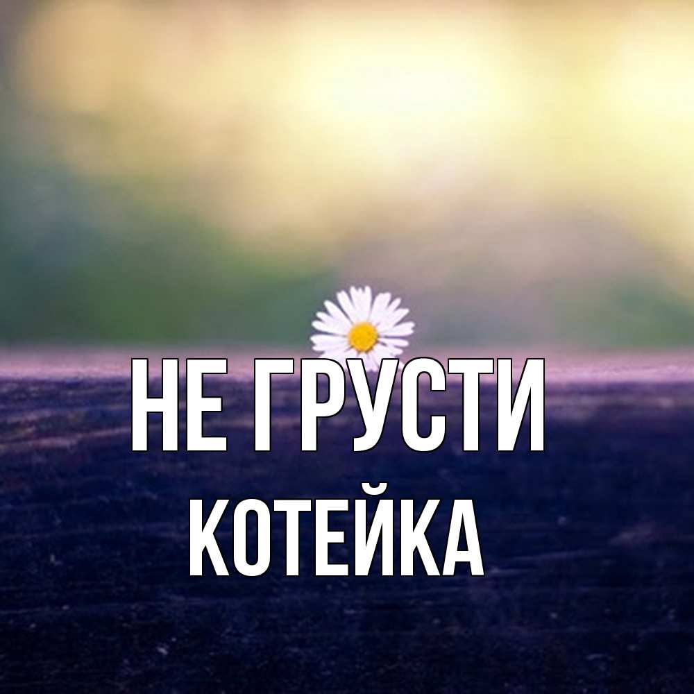 Открытка на каждый день с именем, Котейка Не грусти красота Прикольная открытка с пожеланием онлайн скачать бесплатно 