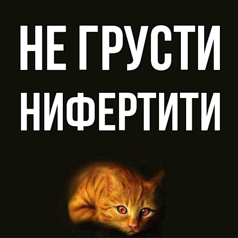 Открытка на каждый день с именем, Нифертити Не грусти лежащий кот в темноте Прикольная открытка с пожеланием онлайн скачать бесплатно 