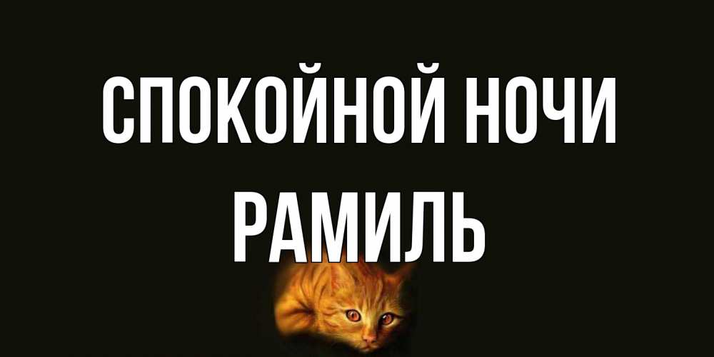 Открытка на каждый день с именем, Рамиль Спокойной ночи кот Прикольная открытка с пожеланием онлайн скачать бесплатно 