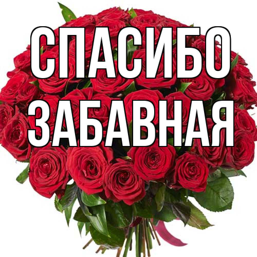 Открытка на каждый день с именем, забавная Спасибо букет красных роз Прикольная открытка с пожеланием онлайн скачать бесплатно 