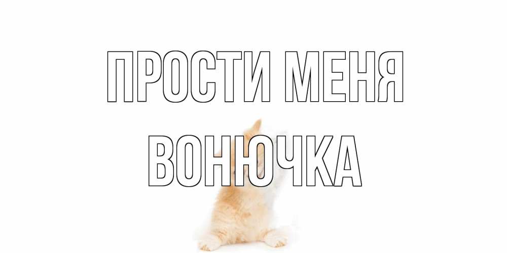 Открытка на каждый день с именем, Вонючка Прости меня кот Прикольная открытка с пожеланием онлайн скачать бесплатно 